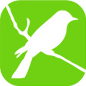 Picto formacion UTM. © UTM Desarrollos