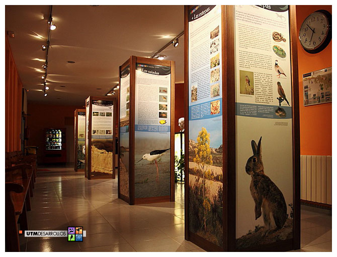 Montaje de exposcición temporal itinerante del verde al gris (naturaleza). © UTM Desarrollos