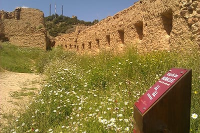 Señalización con balizas dentro del recinto del castillo Mayor de Daroca | ® UTM Desarrollos