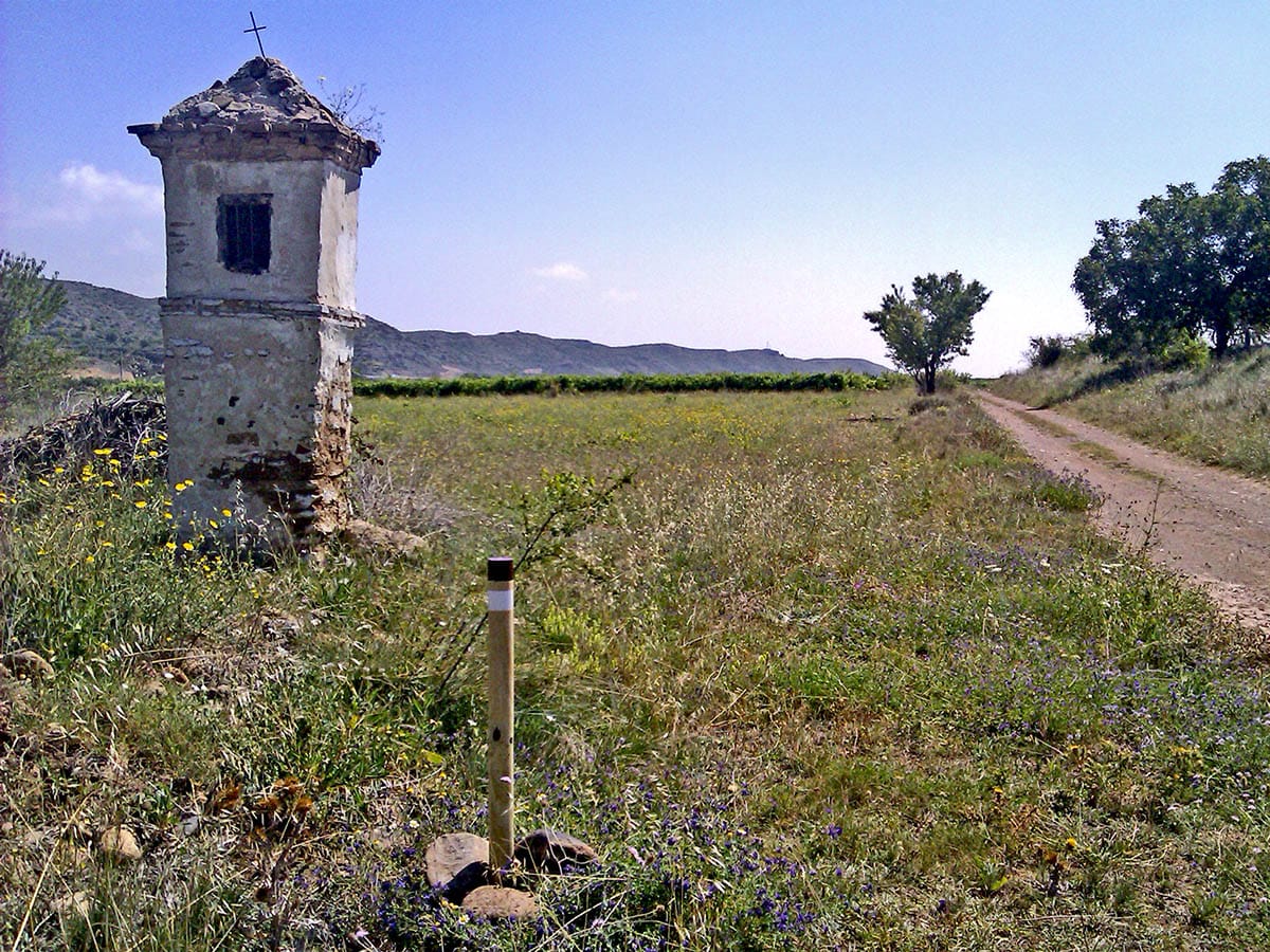 Señalización del sendero  (estaca) | ® UTM Desarrollos