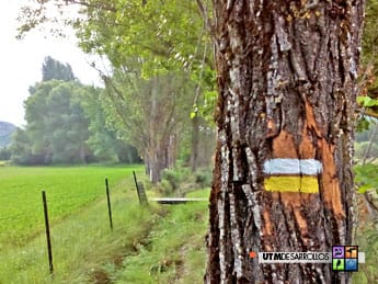 Señalización de sendero  (marcas de pintura PR) | ® UTM Desarrollos