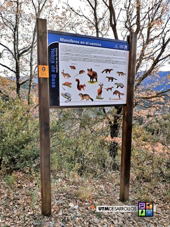 Panel de los mamíferos | ® UTM Desarrollos