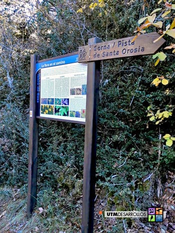 Panel de la flora | ® UTM Desarrollos