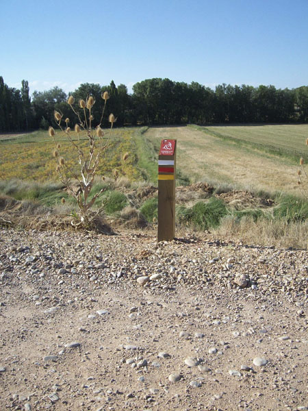 Señalización | Baliza de madera tratada fresada para señalización de sendero Camino del Cid GR + PR . © UTM Desarrollos