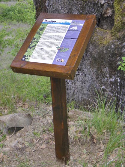 Señalización | Pie temático para la interpretación de una ruta botánica. © UTM Desarrollos