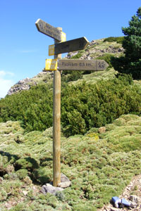 Señalización | Flechas direccionales de senderos de pequeño recorrido PR con textos fresados en madera. © UTM Desarrollos