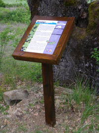 Señalización | Pie temático de el quejigo en la Senda de Izarbe (Huesca). © UTM Desarrollos