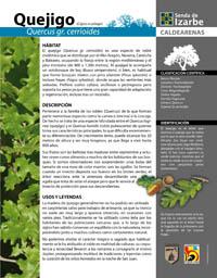 Cartografía | Pie temático de el quejigo (detalle del diseño) en la Senda de Izarbe (Huesca). © UTM Desarrollos