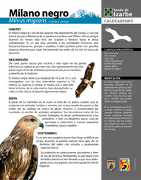 Cartografía | Pie temático de el milano negro en la Senda de Izarbe (Huesca). © UTM Desarrollos